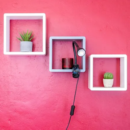 In Wine: Incantevole A Torino. *